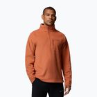 Vyriškas flisinis džemperis Columbia Fast Trek III Half Zip Teak Brown
