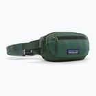 Juosmes krepšys Patagonia Terravia Mini Hip canopy green