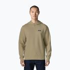 Vyriškas džemperis Patagonia Daily Hoody weathered stone
