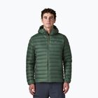 Vyriška pūsta striukė Patagonia Down Sweater Hoody treeline green