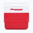 Turistinis šaldytuvas Igloo Playmate Mini 3 l red star