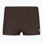 Maudymosi trumpikės Arena Icons Swim Short Solid sepia/water