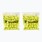 Tecnifibre Stage 1 teniso kamuoliukai 144 vnt.