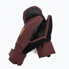 Moteriškos snieglenčių pirštinės DC Franchise Mittens andora