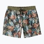 Vyriški maudymosi šortai Billabong Coral Garden Layback multicolor