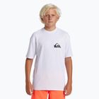 Vaikiški plaukimo marškinėliai Quiksilver Everyday Surf Tee white