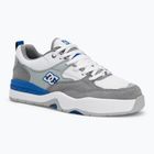 Vyriški batai DC Ascend white / grey / blue
