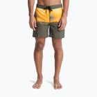 Vyriški maudymosi šortai Quiksilver Everyday Half Jam 16" grape leaf wordblock