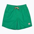 Vaikiški maudymosi šortai Quiksilver Everyday Volley 14" leprechaun