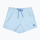 Vyriški maudymosi šortai Quiksilver Everyday Solid Volley 15" omphalodes
