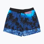 Vyriški maudymosi šortai Quiksilver Everyday Printed Volley 15" Monaco Blue Thermotropics