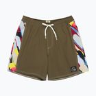 Vyriški maudymosi šortai Quiksilver Original Arch Volley 17" grape leaf