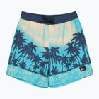 Vaikiški maudymosi šortai Quiksilver Everyday Printed Volley 14" aqua thermotropics