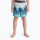 Vaikiški maudymosi šortai Quiksilver Everyday Printed Volley 14" aqua thermotropics