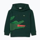 Vaikiškas džemperis Lacoste SJ2561 sinople