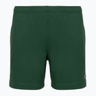 Vyriški teniso šortai Lacoste GH0138 green