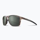 Akiniai nuo saulės Julbo Compass Polarized brown translucent brillant/army dark