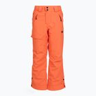 Vaikiškos slidinėjimo kelnės Picture Time 10/10 neon flare