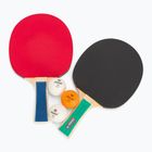Stalo teniso rinkinys Donic-Schildkröt Appelgren 400 Set