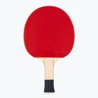 Drugelio formos stalo teniso raketė Timo Boll SG11