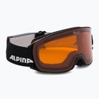 Alpina Nakiska slidinėjimo akiniai juodi matiniai/oranžiniai