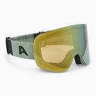 Slidinėjimo akiniai Alpina Penken Q-Lite willow/ green matt/ gold