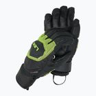 Vyriškos slidinėjimo pirštinės LEKI WCR Coach 3D black/ ice lemon