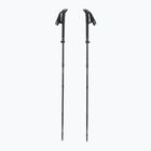 Žygio lazdos LEKI Sherpa FX Carbon Strong black/naturalcarbon/light anthracite