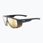 Akiniai nuo saulės UVEX Mtn Style CV havanna matt fade/mirror champagne