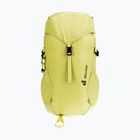 Vaikiška turistinė kuprinė deuter Climber 22 l sprout/linden