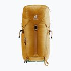 Turistinė kuprinė deuter Trail 24 l almond/deepsea
