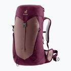 Moteriška turistinė kuprinė deuter AC Lite 22 l SL ashrose-cassis