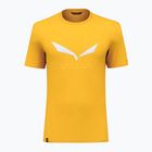 Vyriški trekingo marškinėliai Salewa Solidlogo Dry yellow 00-0000027018
