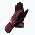 DYNAFIT slidinėjimo pirštinės Mercury DST bordo spalvos