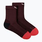 Vyriškos kojinės Salewa MTN TRN AM syrah