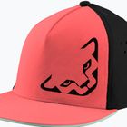 DYNAFIT Tech Trucker cabana beisbolo kepuraitė