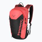 DYNAFIT Transalper 16 l cabana/black out moteriška turistinė kuprinė
