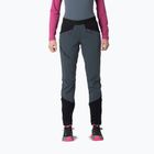 Moteriškos žygių kelnės DYNAFIT Transalper Warm Pants cinder