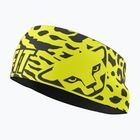 Galvos juosta DYNAFIT Graphic Performance ultra yellow/0720 leopard