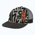 Kepurė su snapeliu DYNAFIT Graphic Trucker overcast/0910 trail