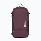 Kuprinė Jack Wolfskin Velocity 20 l amarantas