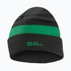 Vaikiška žieminė kepurė Jack Wolfskin Stripy Knit slate green/mystic