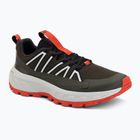 Vyriški turistiniai batai Jack Wolfskin Wild Hike Low obsidian moss