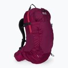Jack Wolfskin Crosstrail ST 22 l turistinė kuprinė bordinė 2009562_2222
