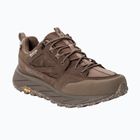 Vyriški žygio batai Jack Wolfskin Terraquest Texapore Low gecko bear