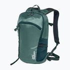 Turistinė kuprinė Jack Wolfskin Prelight Shape 15 l jade green