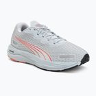 Moteriški bėgimo batai Puma Velocity Nitro 2 GTX grey/salmon