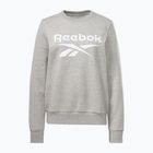 Moteriškas džemperis Reebok Identity Big Logo Fleece Crew medium grey heather