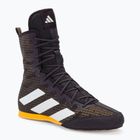 Bokso bateliai adidas Box Hog 4 aurora black/cloud white/spark