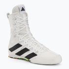 adidas Box Hog 4 cloud white/core black/cloud white bokso bateliai